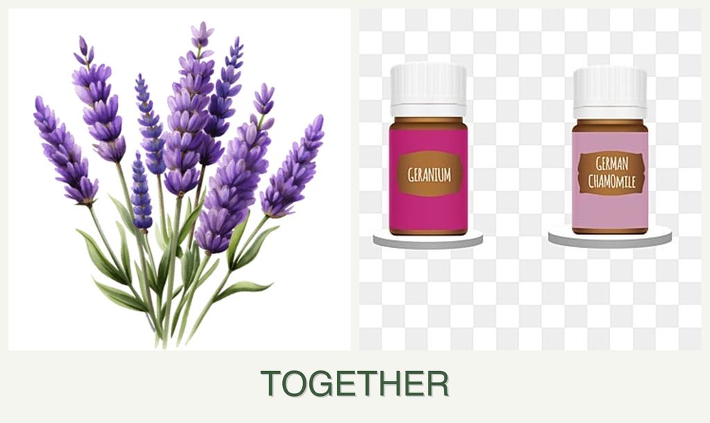 Can you plant lavender and geraniums together?