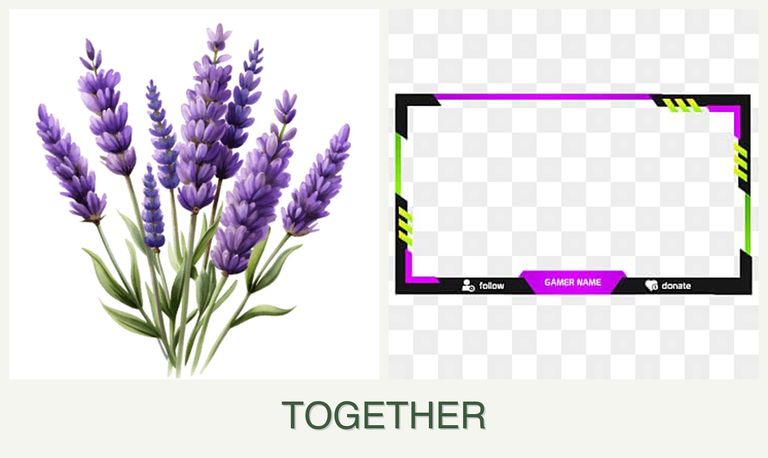 Can you plant lavender and limes together?
