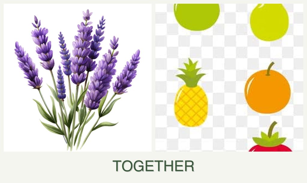 Can you plant lavender and pears together?