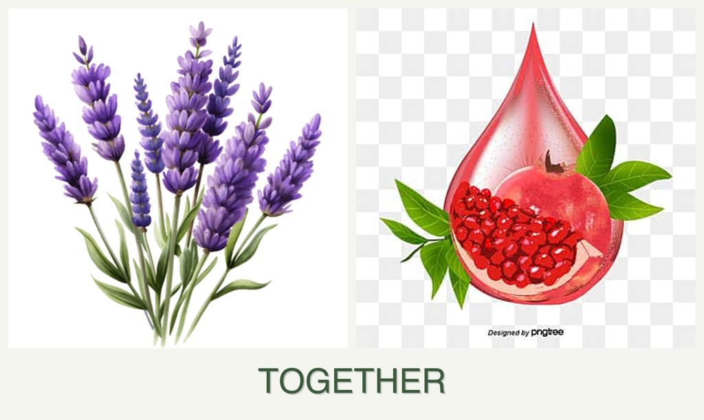 Can you plant lavender and pomegranates together?