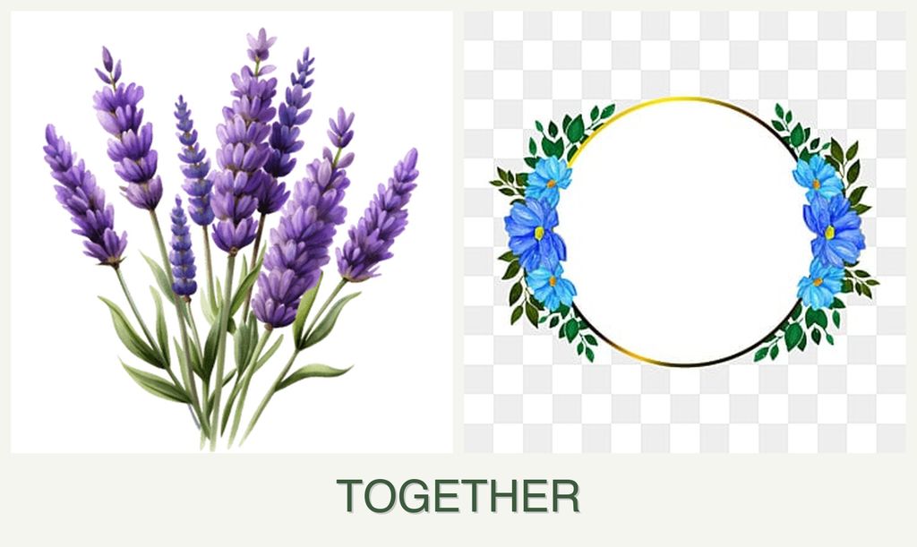 Can you plant lavender and zinnias together?