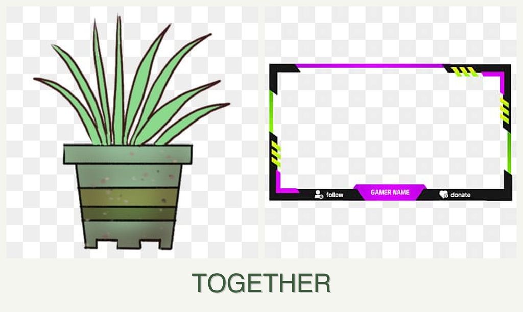 Can you plant lemongrass and limes together?