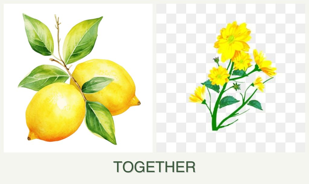 Can you plant lemons and calendula together?