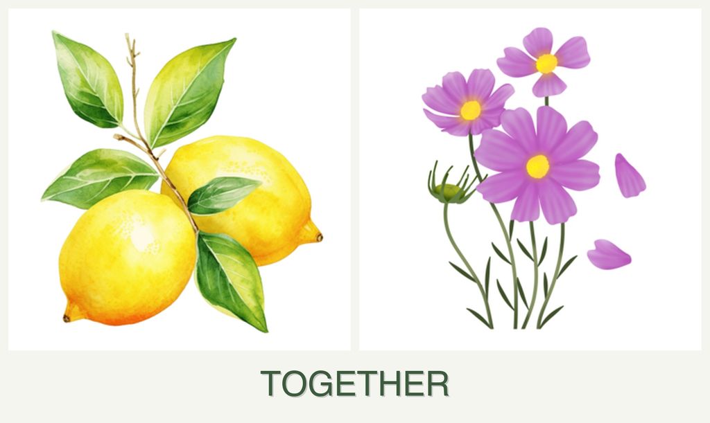Can you plant lemons and cosmos together?