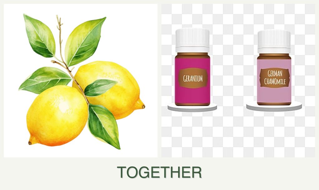 Can you plant lemons and geraniums together?