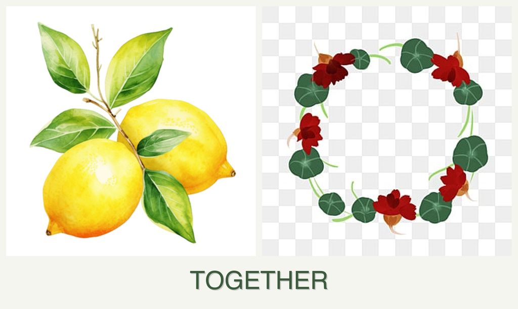 Can you plant lemons and nasturtiums together?