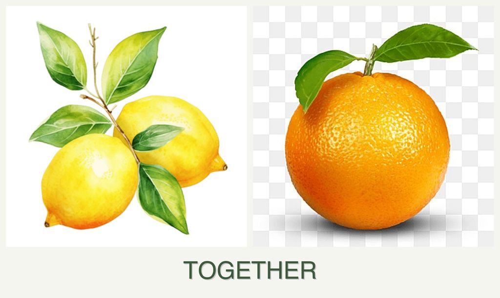 Can you plant lemons and oranges together?