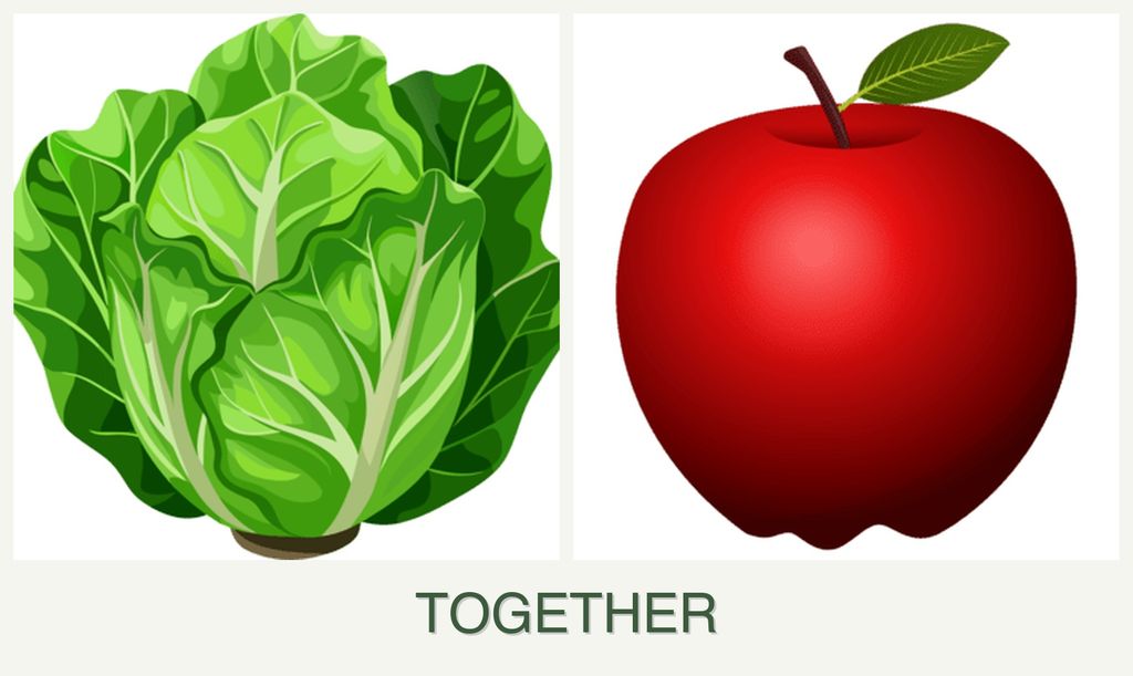 Can you plant lettuce and apples together?