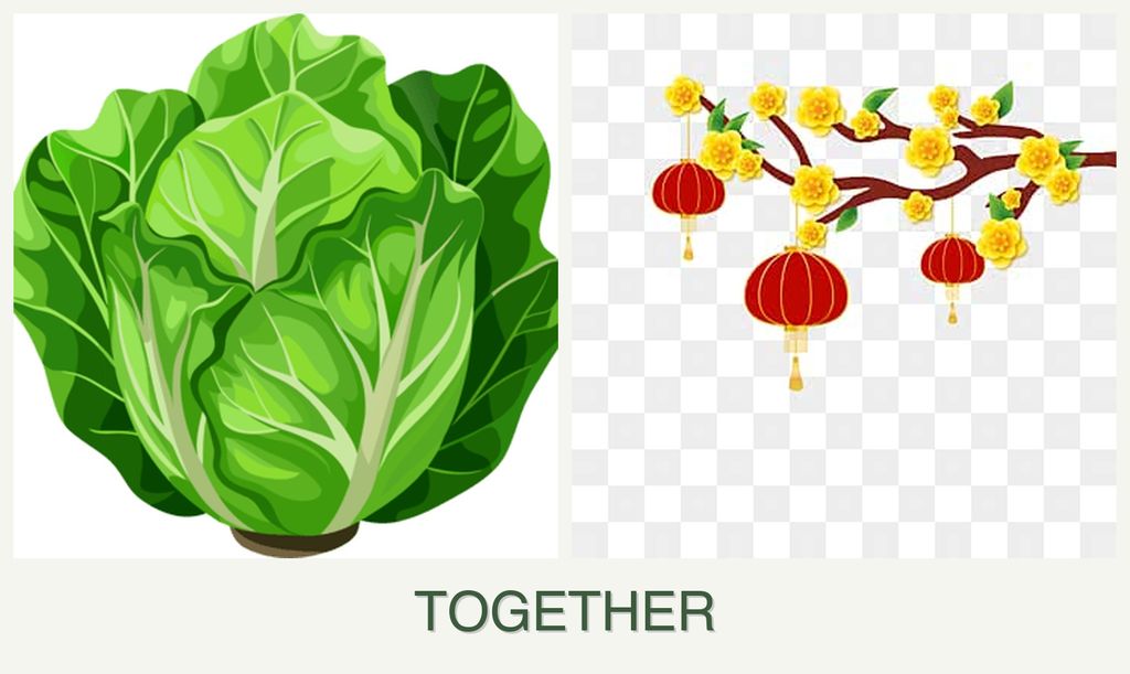Can you plant lettuce and apricots together?