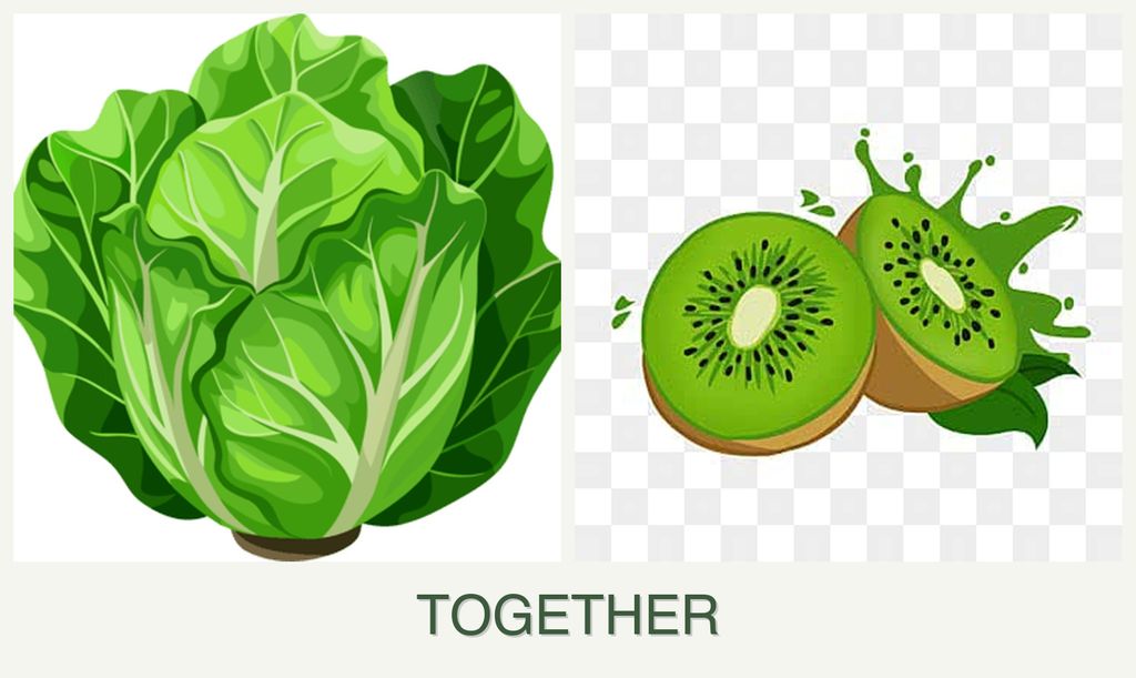 Can you plant lettuce and kiwi together?