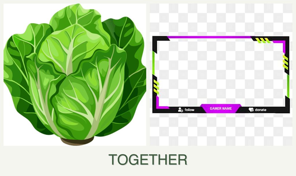 Can you plant lettuce and limes together?