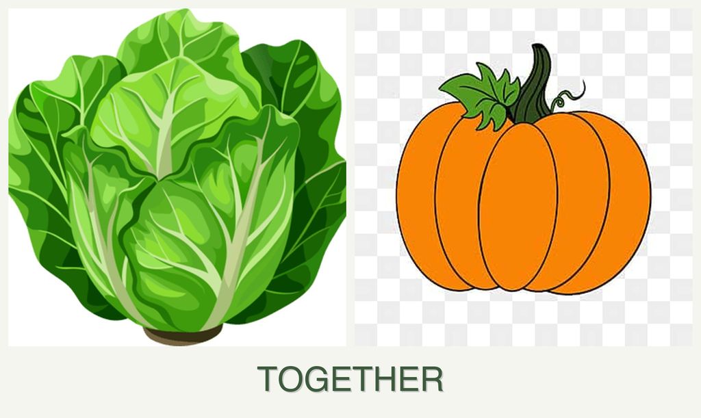 Can you plant lettuce and pumpkin together?