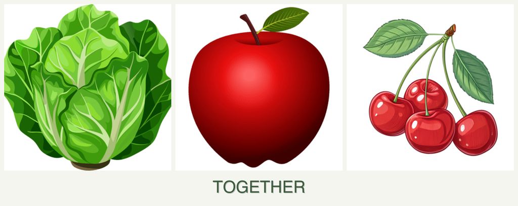Can you plant lettuce, apples and cherries together?