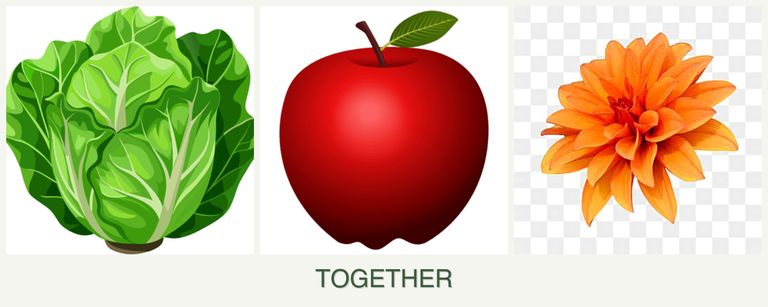 Can you plant lettuce, apples and dahlias together?