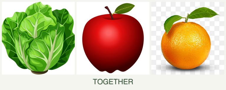 Can you plant lettuce, apples and oranges together?
