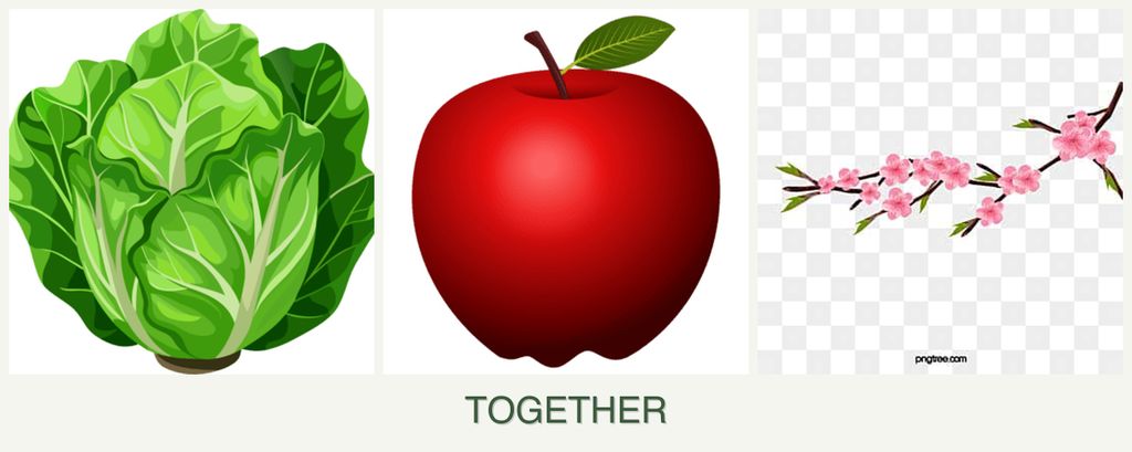 Can you plant lettuce, apples and peaches together?