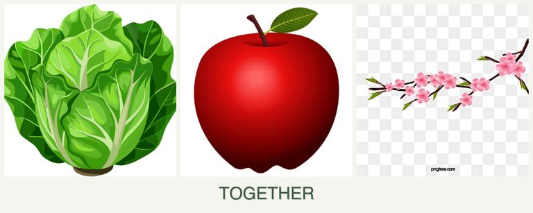 Can you plant lettuce, apples and peaches together?