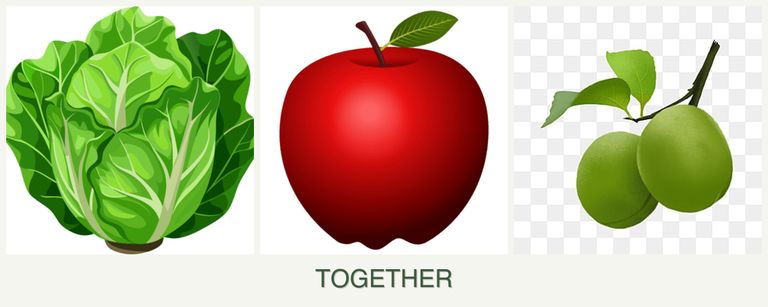 Can you plant lettuce, apples and plums together?