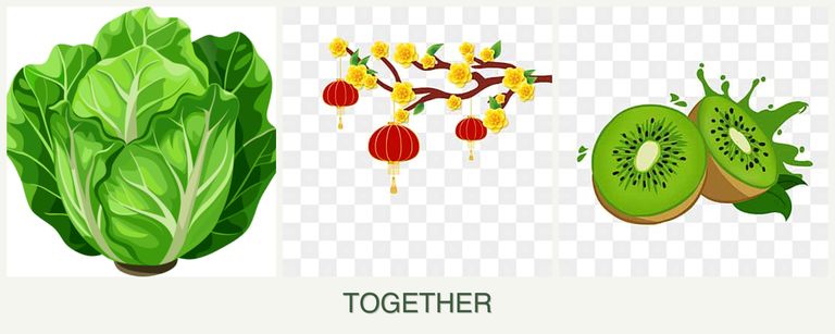 Can you plant lettuce, apricots and kiwi together?