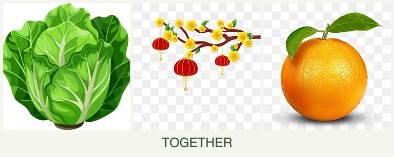 Can you plant lettuce, apricots and oranges together?