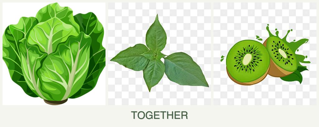 Can you plant lettuce, basil and kiwi together?