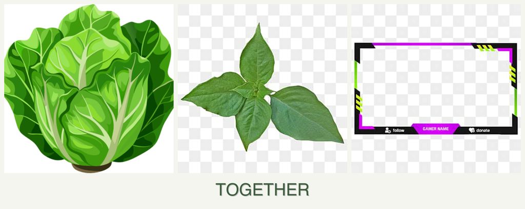 Can you plant lettuce, basil and limes together?