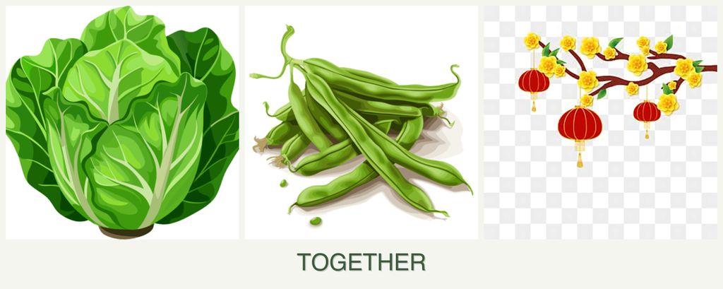 Can you plant lettuce, beans and apricots together?