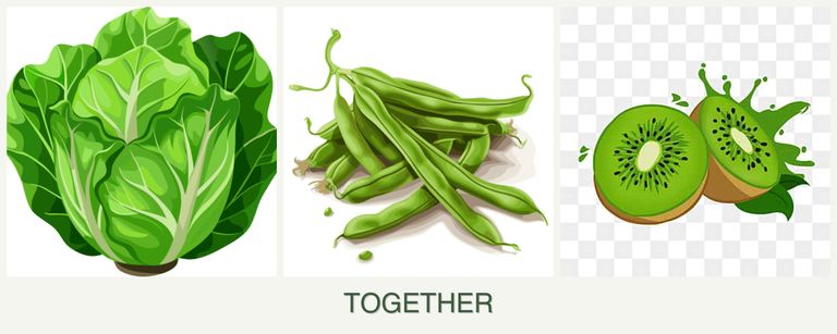 Can you plant lettuce, beans and kiwi together?
