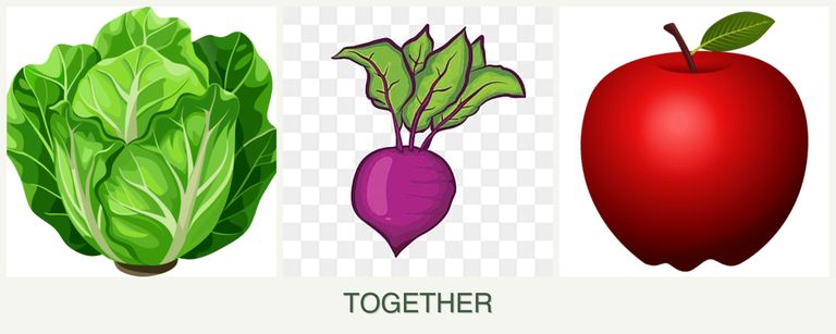 Can you plant lettuce, beets and apples together?