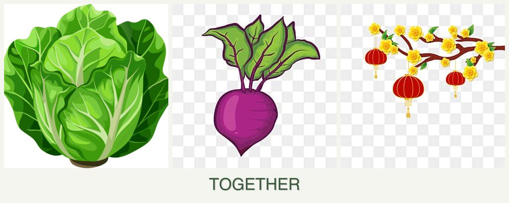 Can you plant lettuce, beets and apricots together?