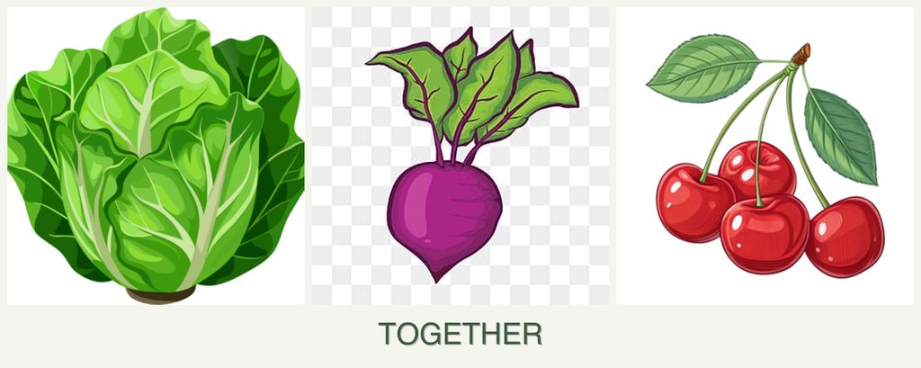 Can you plant lettuce, beets and cherries together?