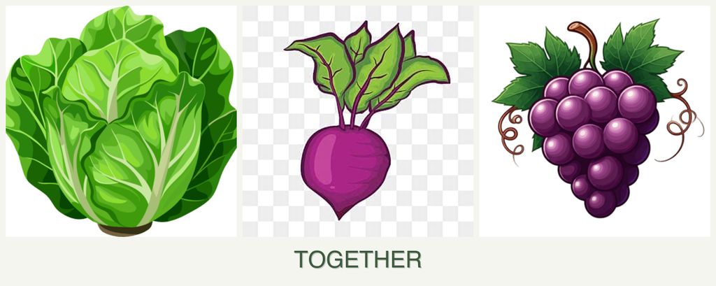 Can you plant lettuce, beets and grapes together?