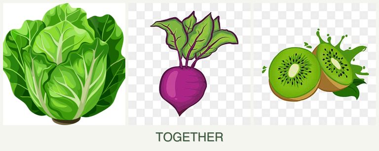 Can you plant lettuce, beets and kiwi together?