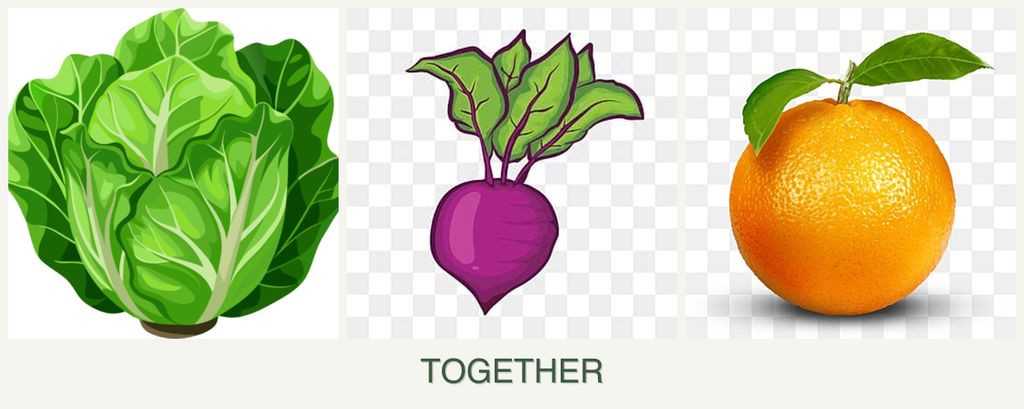 Can you plant lettuce, beets and oranges together?