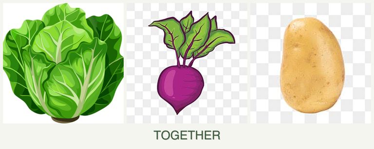Can you plant lettuce, beets and potatoes together?