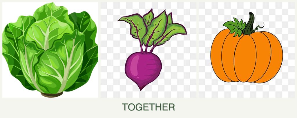 Can you plant lettuce, beets and pumpkin together?