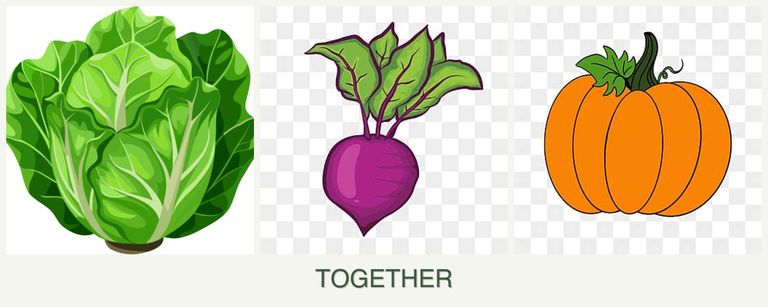 Can you plant lettuce, beets and pumpkin together?
