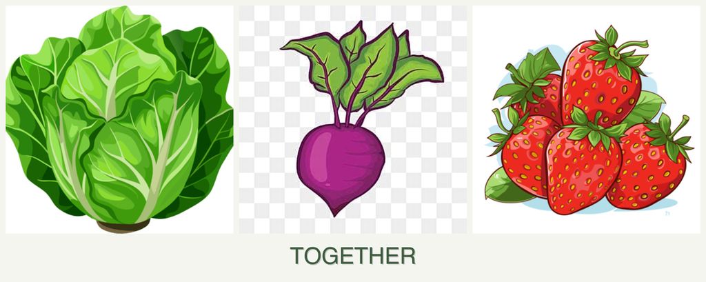Can you plant lettuce, beets and strawberries together?
