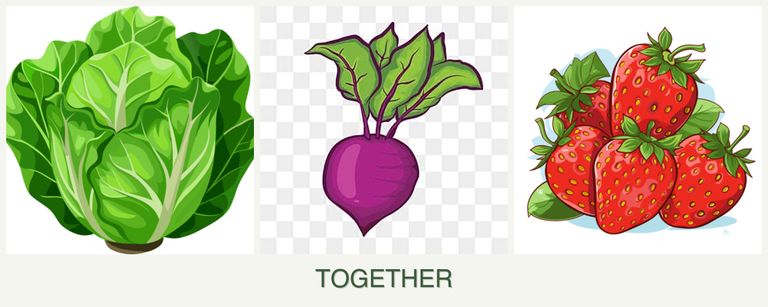 Can you plant lettuce, beets and strawberries together?