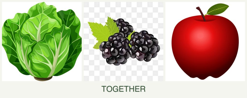 Can you plant lettuce, blackberries and apples together?