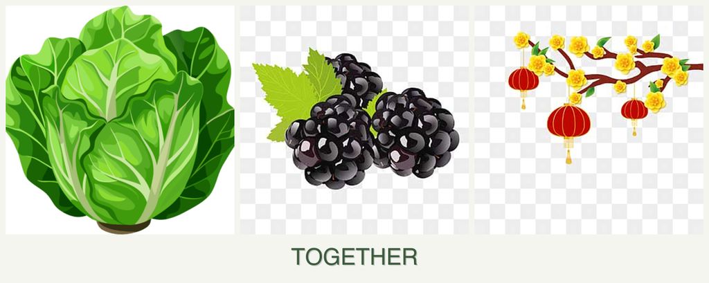 Can you plant lettuce, blackberries and apricots together?