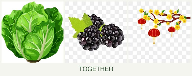 Can you plant lettuce, blackberries and apricots together?
