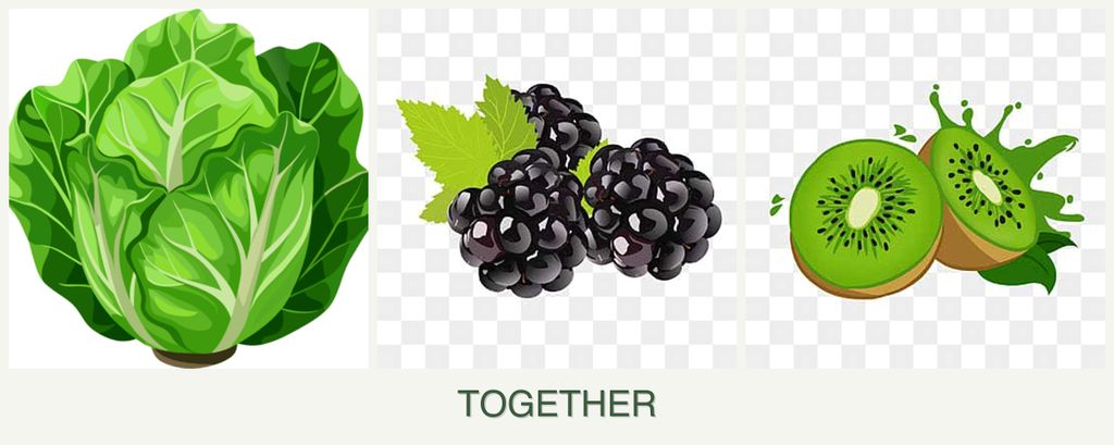 Can you plant lettuce, blackberries and kiwi together?