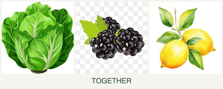 Can you plant lettuce, blackberries and lemons together?