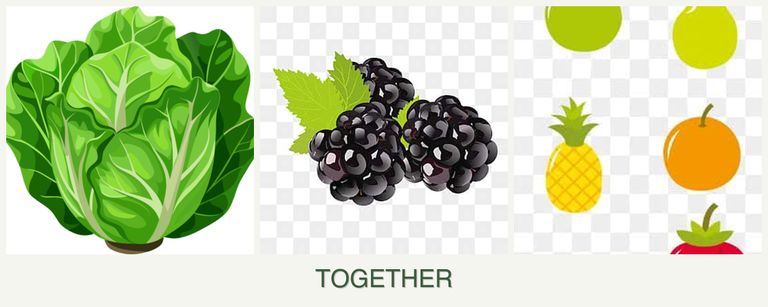 Can you plant lettuce, blackberries and pears together?