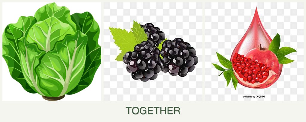 Can you plant lettuce, blackberries and pomegranates together?