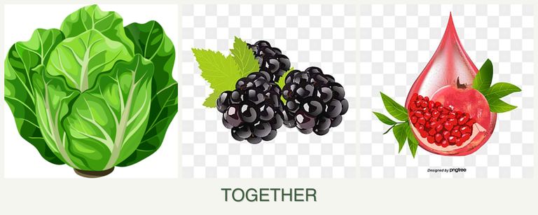 Can you plant lettuce, blackberries and pomegranates together?