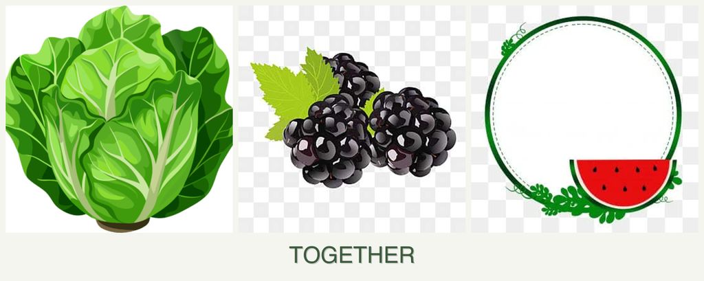 Can you plant lettuce, blackberries and watermelons together?