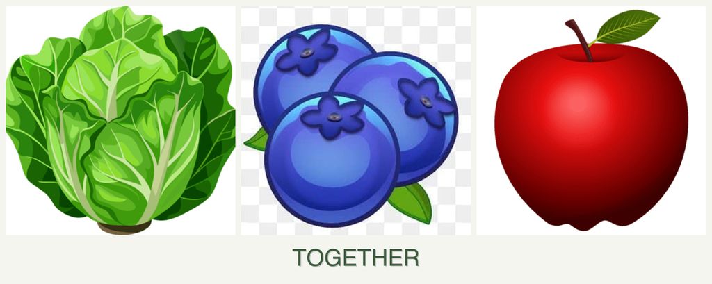 Can you plant lettuce, blueberries and apples together?