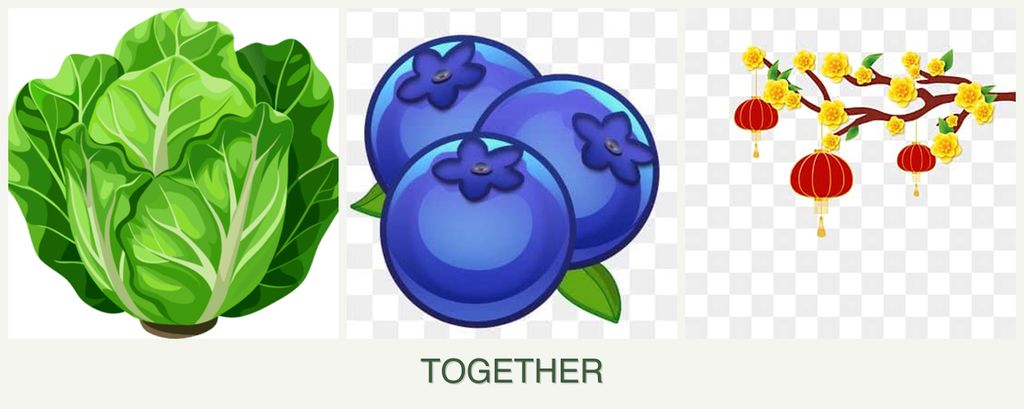 Can you plant lettuce, blueberries and apricots together?